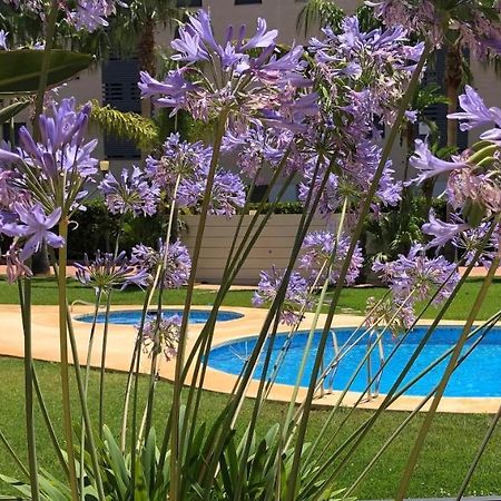 Apartment De Jardines Dénia Buitenkant foto